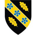 University of Wales Trinity Saint David_logo