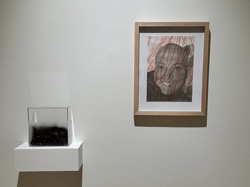 Amanda Joy-Petersen, a young artist from Utah