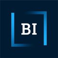 BI Norwegian Business School logo.jpeg