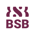 Burgundy School of Business logo