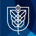 Hult International Business School logo.png