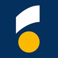 Nuertingen-Geislingen University of Applied Science logo.jpeg