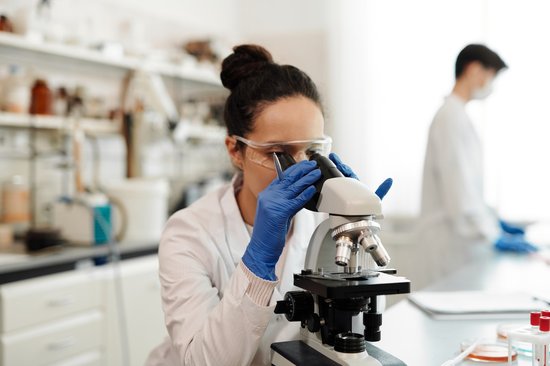 study-biomedical-engineering-germany