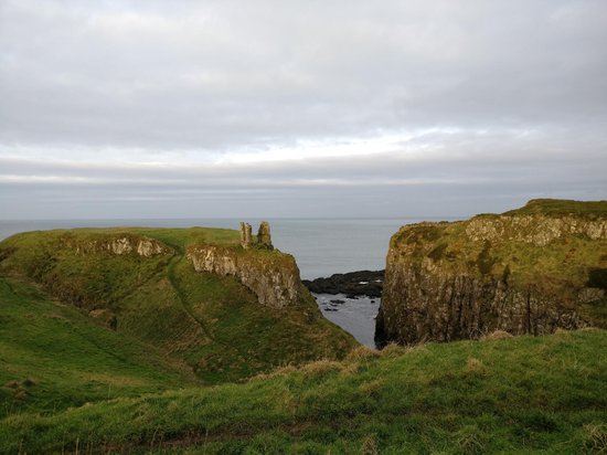 study-in-ireland.jpg