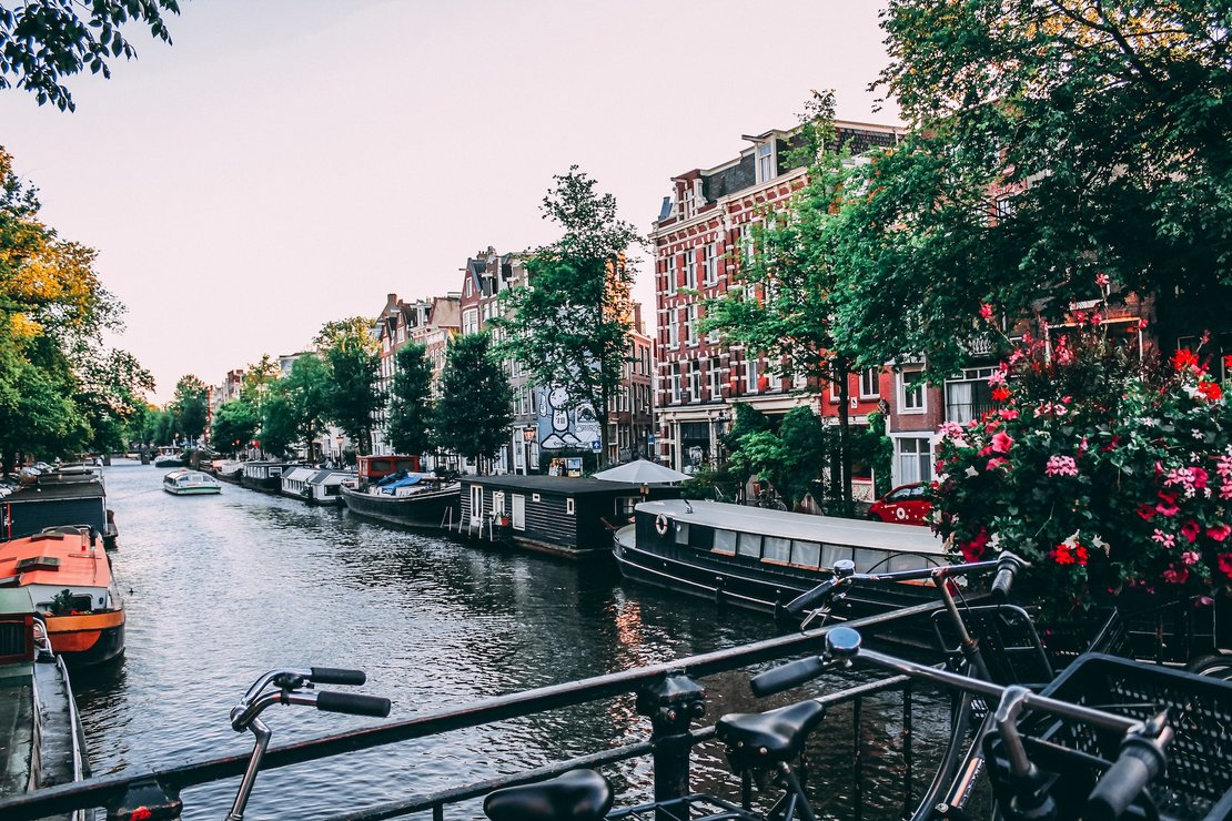 study-in-netherlands-requirements