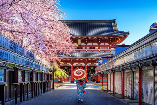 study in japan.jpeg